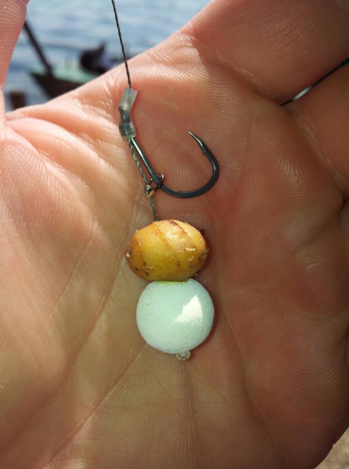 dupa net adunate - 2929753757782858248131398015578n.jpg